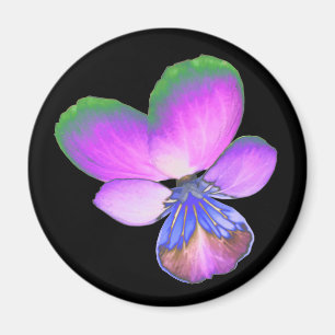 Hübsch Pansy Magnet