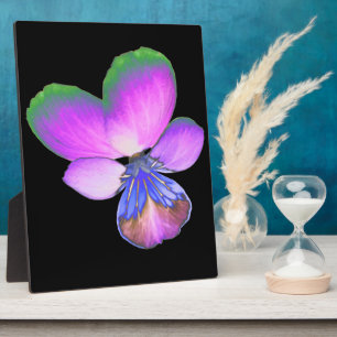 Hübsch Pansy Plaque Fotoplatte
