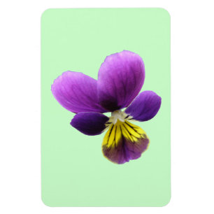 Hübsch Pansy Premium Magnet