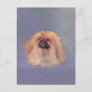 Hübsch Pekingese Postkarte
