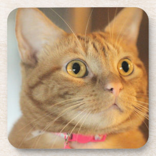 Hübsch Penny Getränkeuntersetzer