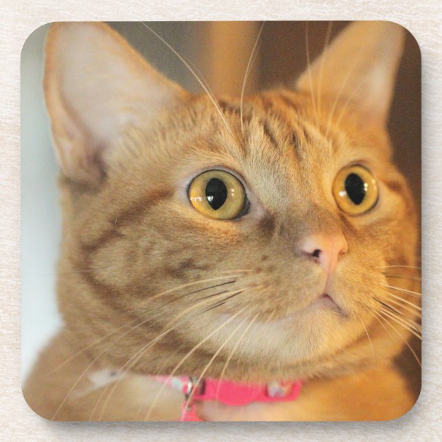 Hübsch Penny Getränkeuntersetzer (Vorderseite)