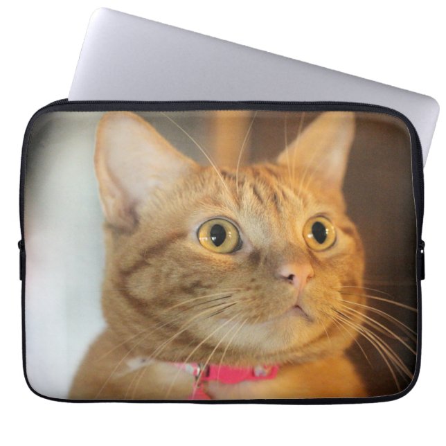 Hübsch Penny Laptopschutzhülle (Vorderseite)