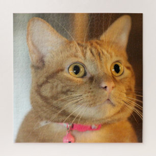 Hübsch Penny Puzzle