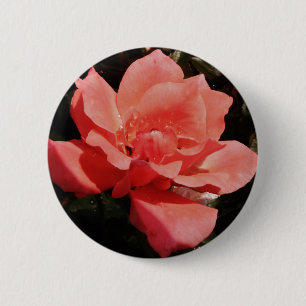 Hübsch Pfirsiche Rosa Rose Button