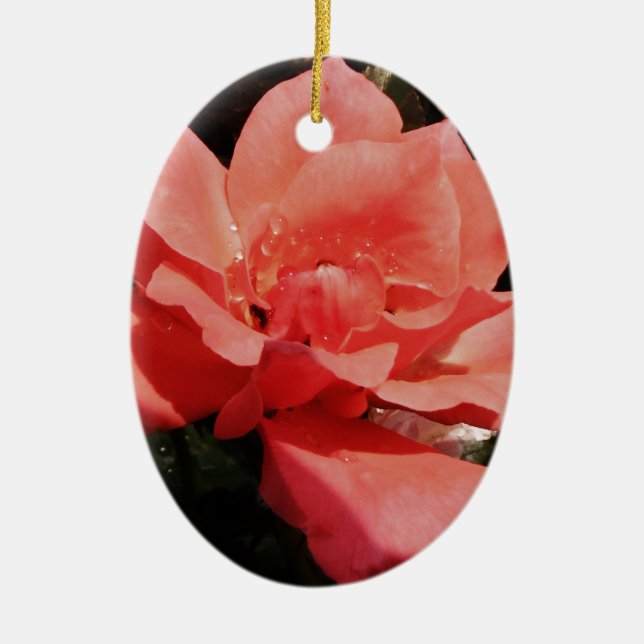 Hübsch Pfirsiche Rosa Rose Keramik Ornament (Vorne)