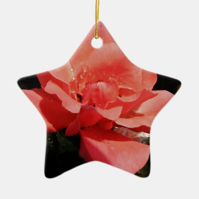 Hübsch Pfirsiche Rosa Rose Keramikornament (Vorne)