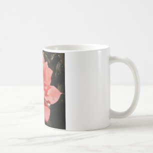 Hübsch Pfirsiche Rosa Rose Tasse