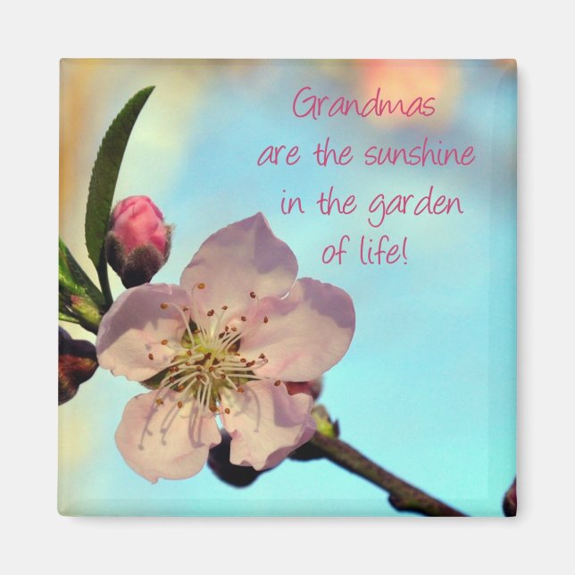 Hübsch Pink Blossom Grandma Magnet Geschenk (Vorne)