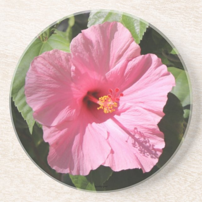 Hübsch Pink Blume Stone Untersetzer (Vorne)