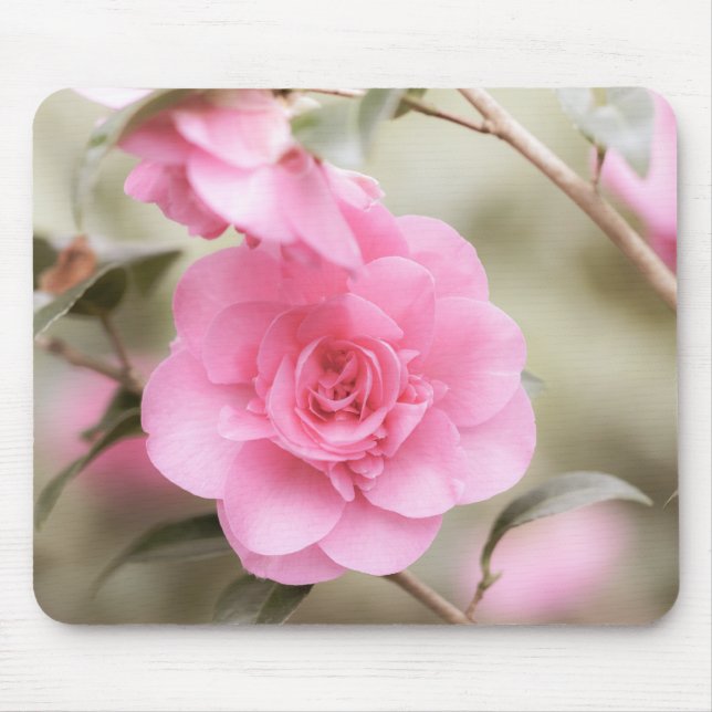 Hübsch Pink Camellia Mousepad (Vorne)