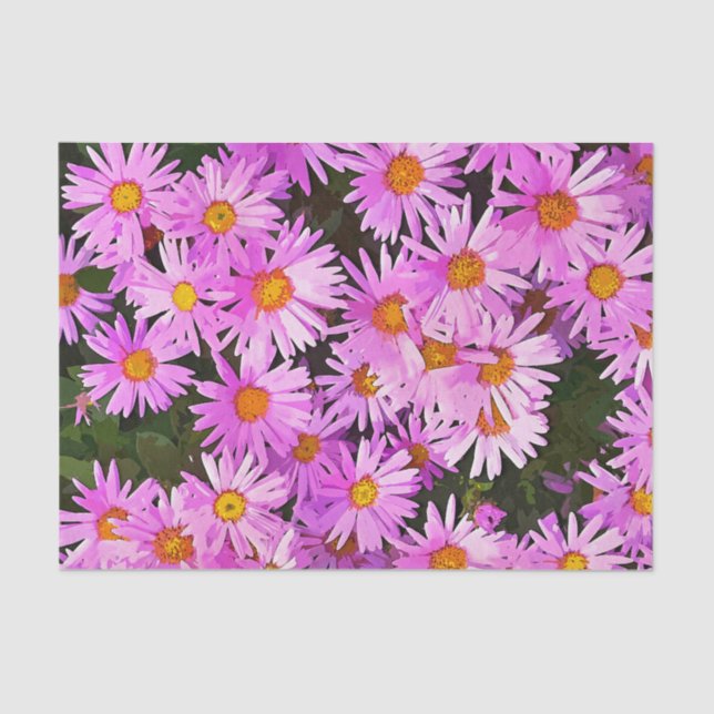 HÜBSCH PINK DAISIES SEIDENPAPIER (Vorderseite)