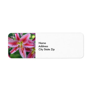 Hübsch Pink Lily Floral Foto