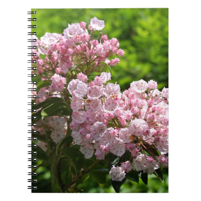 Hübsch Pink Mountain Laurel Blume Notizblock (Vorderseite)