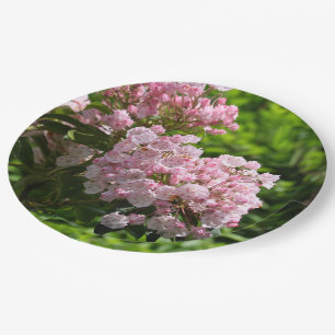 Hübsch Pink Mountain Laurel Blume Pappteller