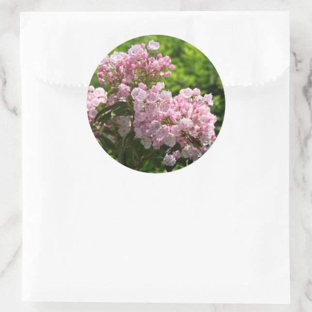 Hübsch Pink Mountain Laurel Blume Runder Aufkleber (Tasche)