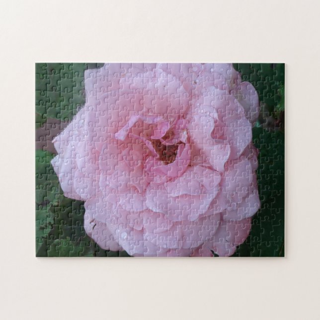 Hübsch Pink Peonie mit Raindrops Puzzle (Horizontal)