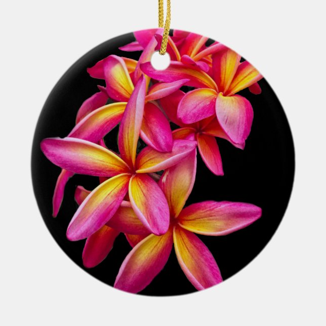 Hübsch Pink Plumeria Floral Foto Keramik Ornament (Vorne)
