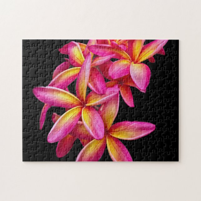 Hübsch Pink Plumeria Floral Foto Puzzle (Horizontal)