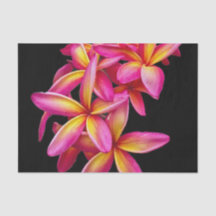 Hübsch Pink Plumeria Floral Foto