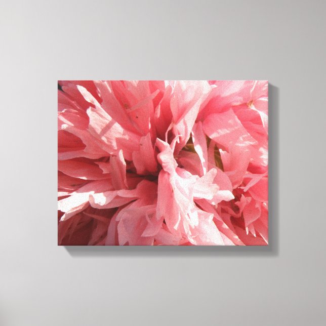 Hübsch Pink Poppy Canvas Print Leinwanddruck (Vorderseite)