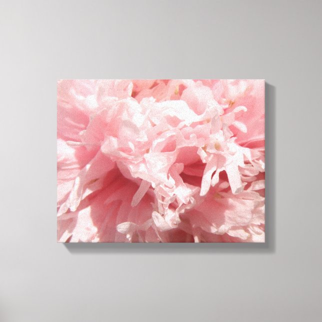 Hübsch Pink Poppy Canvas Print Leinwanddruck (Vorderseite)
