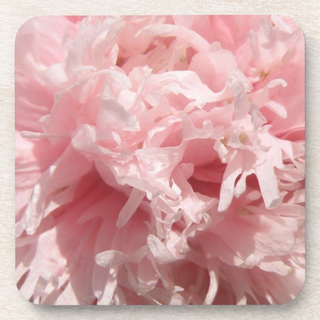 Hübsch Pink Poppy Cork Untersetzer (Vorderseite)