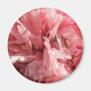 Hübsch Pink Poppy Magnet
