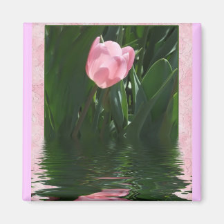 Hübsch Pink Tulip Magnet