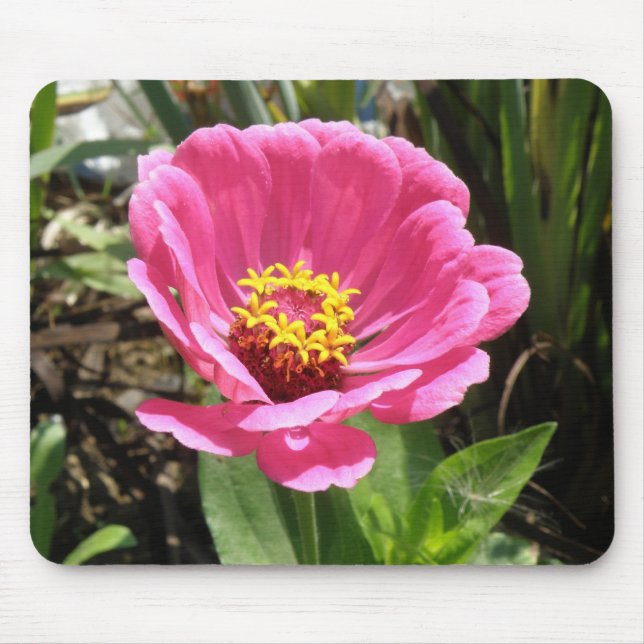 Hübsch Pink Zinnia Mousepad (Vorne)