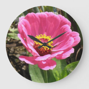 Hübsch Pink Zinnia Wall Uhr