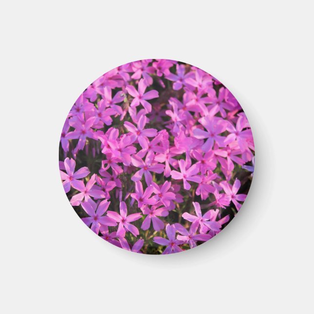 Hübsch Purple Flowers Magnet (Vorne)