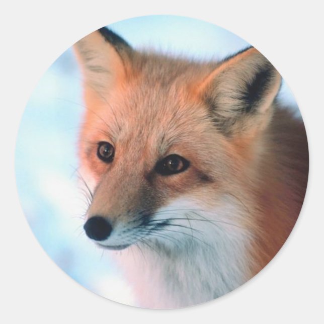 Hübsch Red Fox Runder Aufkleber (Vorderseite)