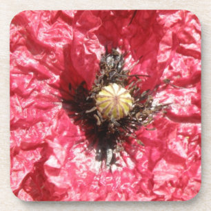 Hübsch Red Poppy Blume Macro Cork Untersetzer