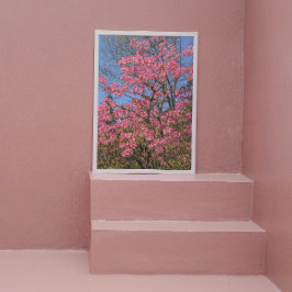 Hübsch rosa Azaleen Fotodruck