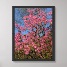 Hübsch rosa Azaleen Poster