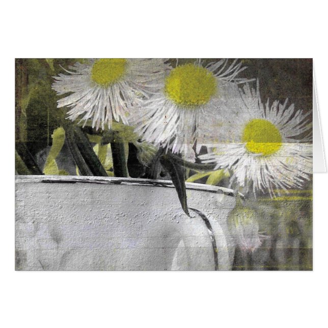 Hübsch rosa Daisy-ähnliche Blume in einem Teacup (Vorderseite (Horizontal))