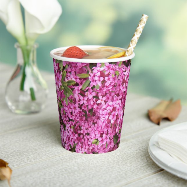 Hübsch rosa Daphne Pappbecher (In Situ)