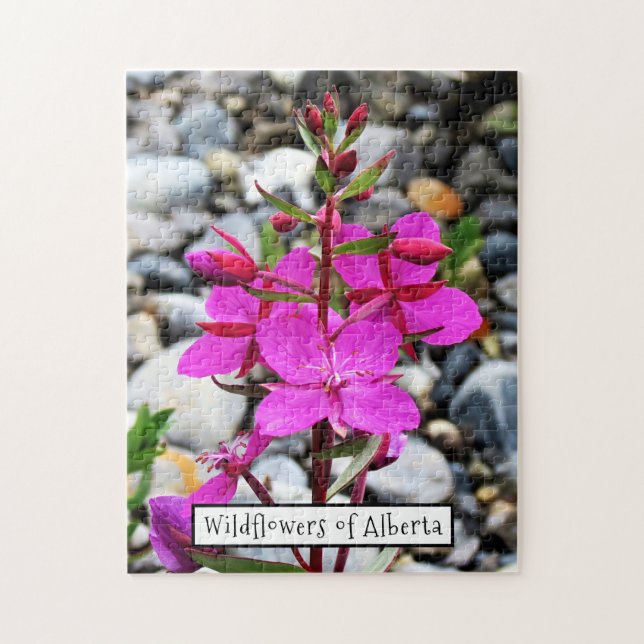 Hübsch rosa feuerwebe Wildblumen Blühen in Kanada Puzzle (Vertikal)