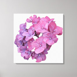 Hübsch-rosa Hydrangea Blume modern blumengeschmück Leinwanddruck