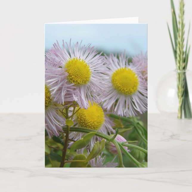 Hübsch rosa karte (Vorderseite)