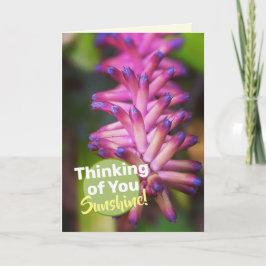 Hübsch-Rosa-Lila Streichhölzer-Pflanze-Blume Karte