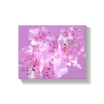 Hübsch-rosa Rhododendron Blüte Blumenzauber