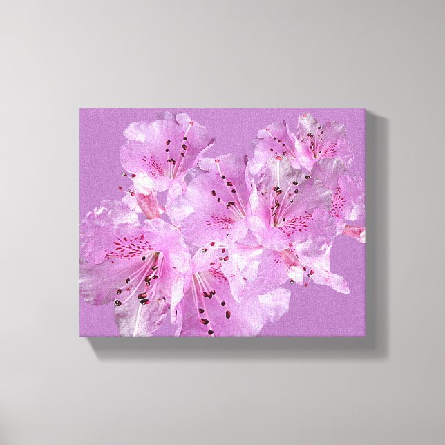 Hübsch-rosa Rhododendron Blüte Blumenzauber Leinwanddruck (Vorderseite)