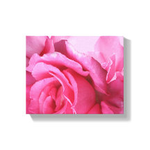 Hübsch rosa Rosa Blume stilvoll modern und blumenr