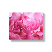 Hübsch rosa Rosa Blüte modern und stilvoll