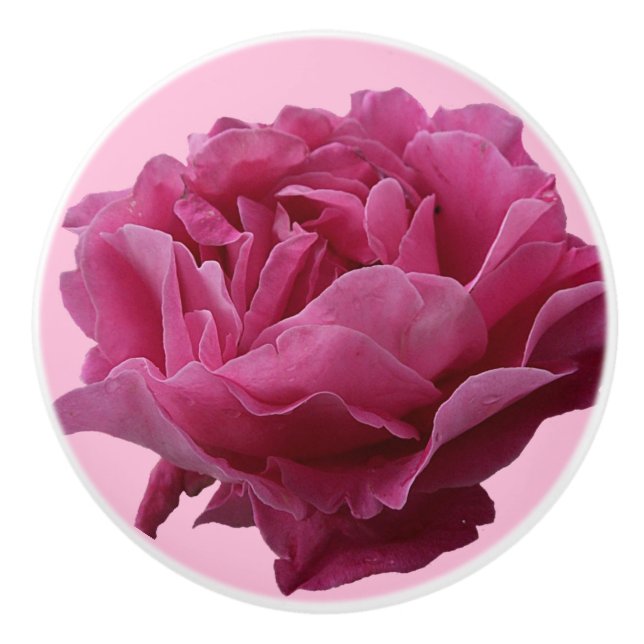 Hübsch rosa Rosa Keramik schön floral stilvoll Keramikknauf (Vorderseite)
