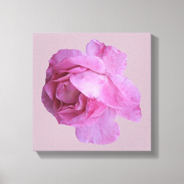 Hübsch rosa Rosa Moderne Blütenkunst Leinwanddruck (Vorderseite)