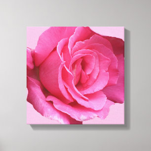 Hübsch rosa rosa, moderne mimalistische Blütenkuns Leinwanddruck