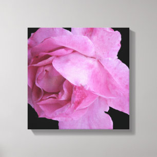 Hübsch rosa Rosa schlicht, modern und stilvoll Leinwanddruck
